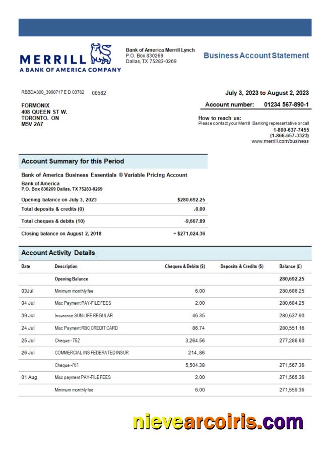 Merrill Bank organization account statement